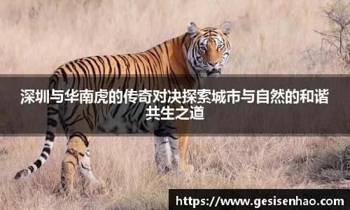365WM完美体育官方网站