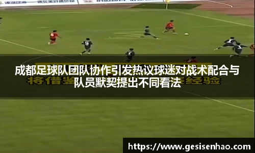 成都足球队团队协作引发热议球迷对战术配合与队员默契提出不同看法