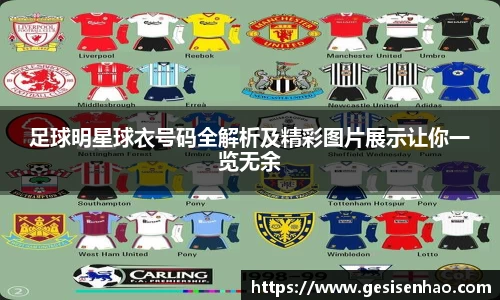 365WM完美体育官方app